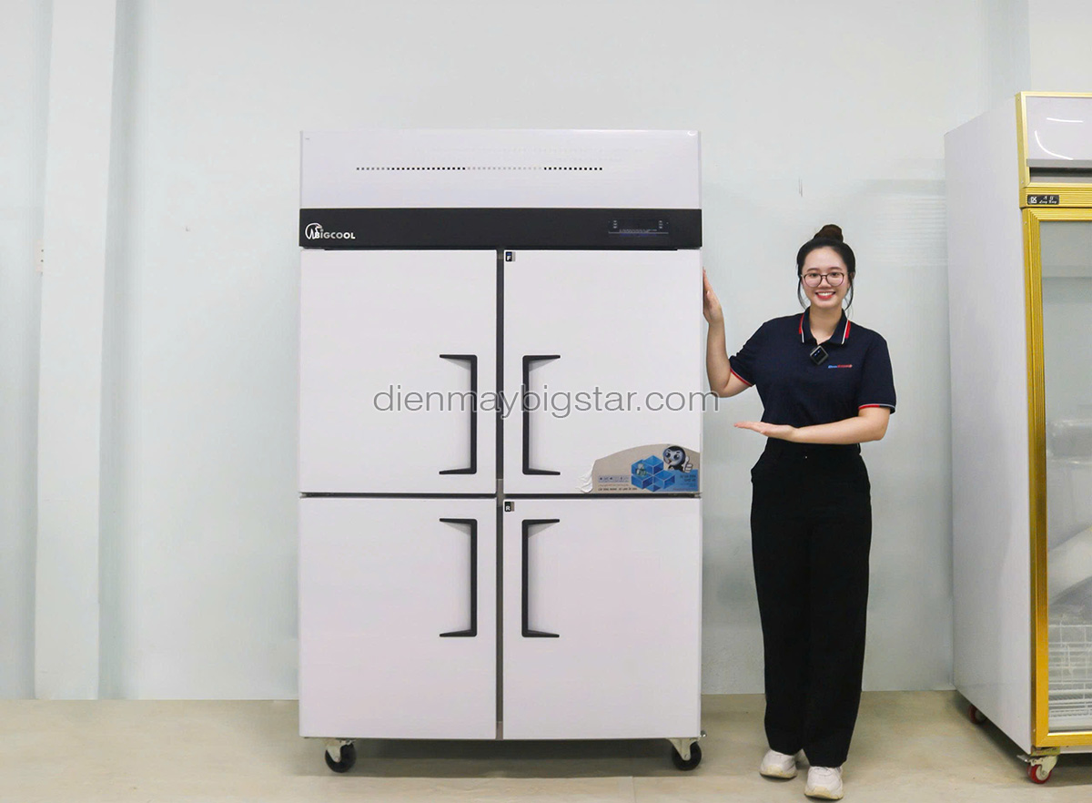 tu dong mat da nang 4 canh 1m2 bigcool tdm 1200DL 8