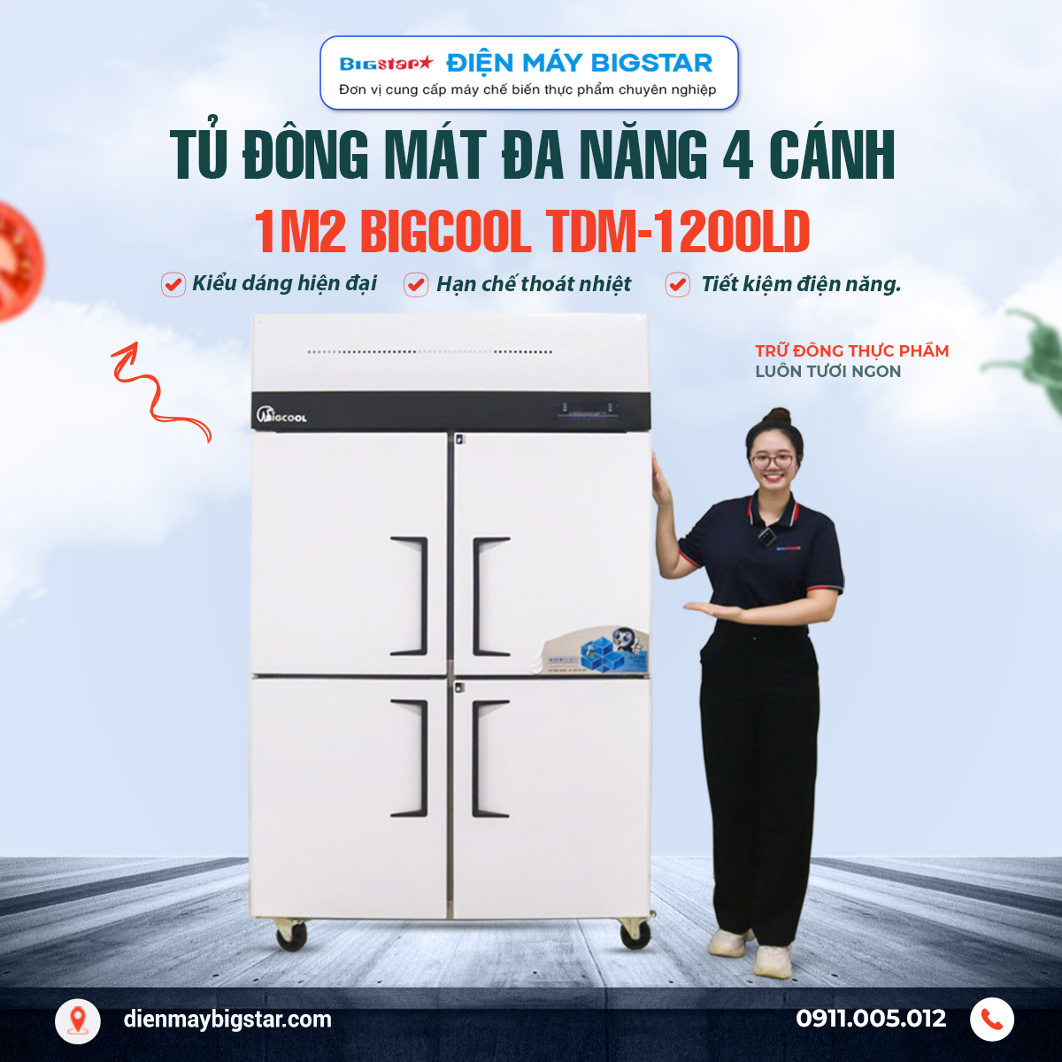 tu dong mat da nang 4 canh 1m2 bigcool tdm 1200DL banner