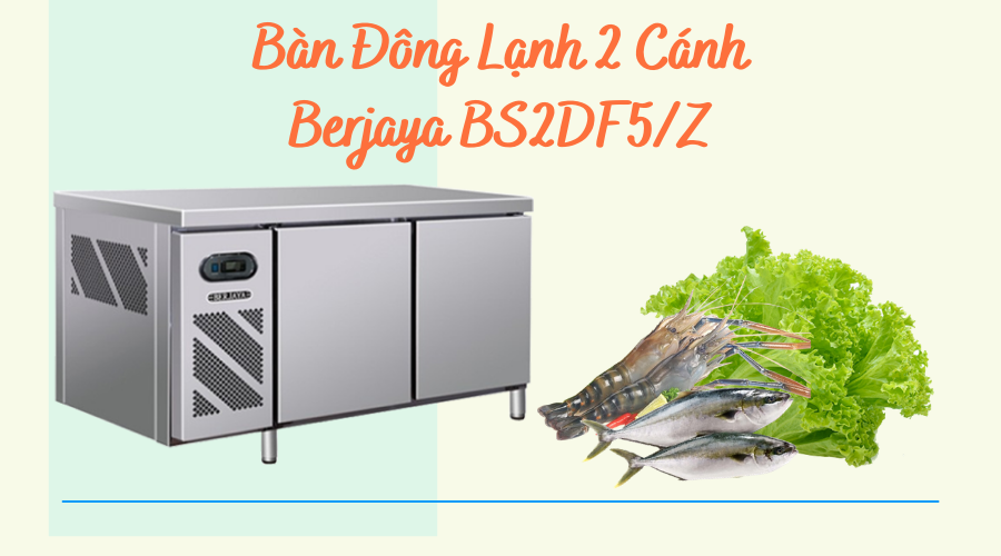 Ban dong lanh 2 canh berjaya bs2df5z 1
