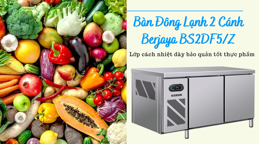 Ban dong lanh 2 canh berjaya bs2df5z