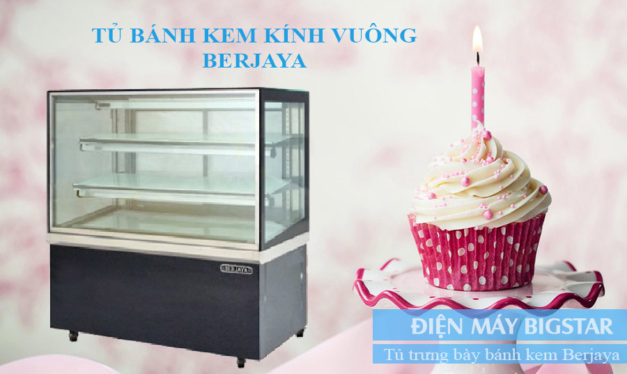 tu banh kem kinh vuong berjaya RCS12SB13 2FB 11