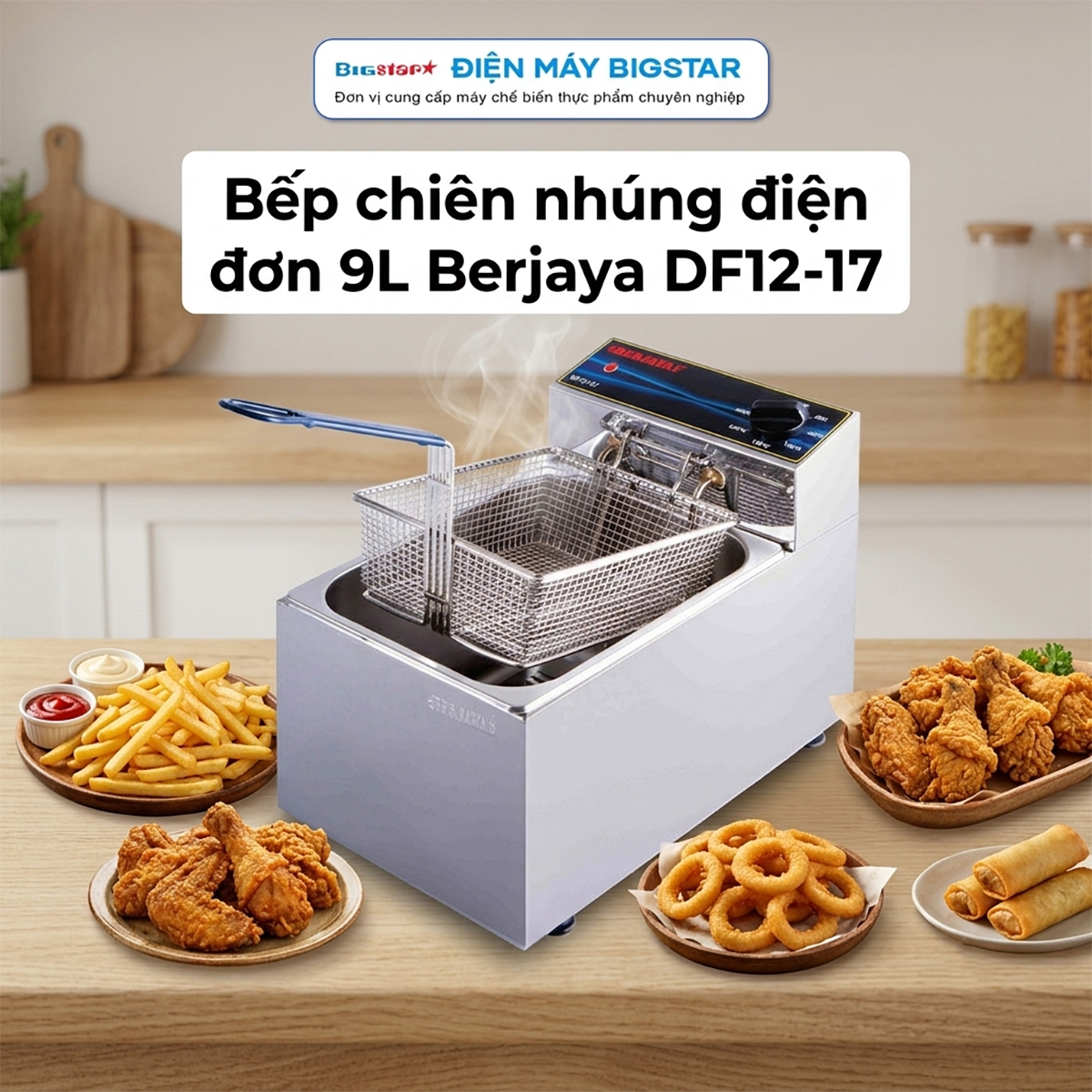 Bếp chiên nhúng điện đơn 9L Berjaya DF12-17 8 bep chien nhung dien don 9l berjaya df12 17 1