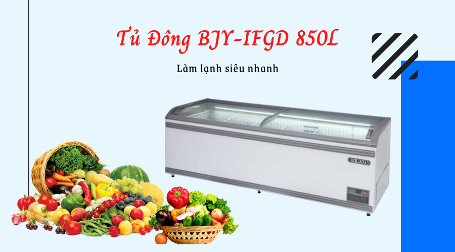 tu dong BJY IFGD 850L 2