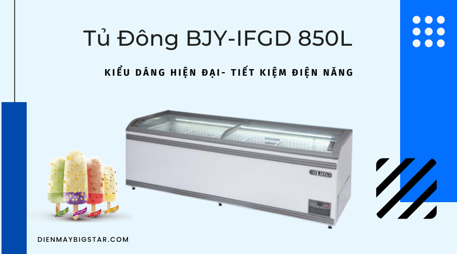 tu dong BJY IFGD 850L