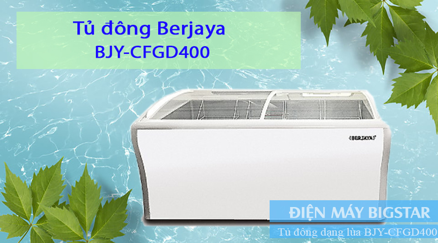 Tu dong Berjaya BJY CFGD400 4