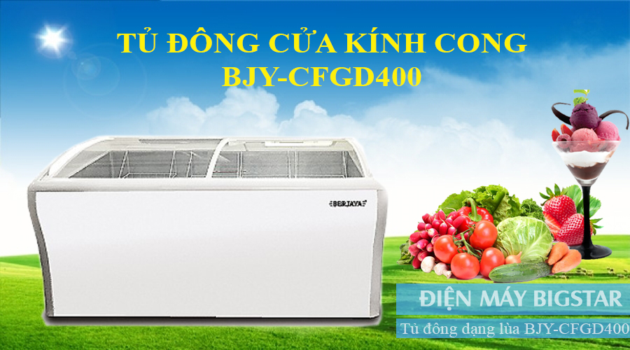 tủ đông berjaya BJY-CFGD400