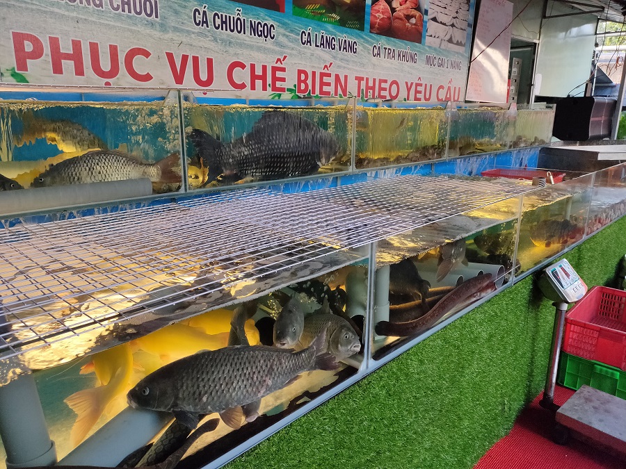 tu trung bay SC 2.0 5