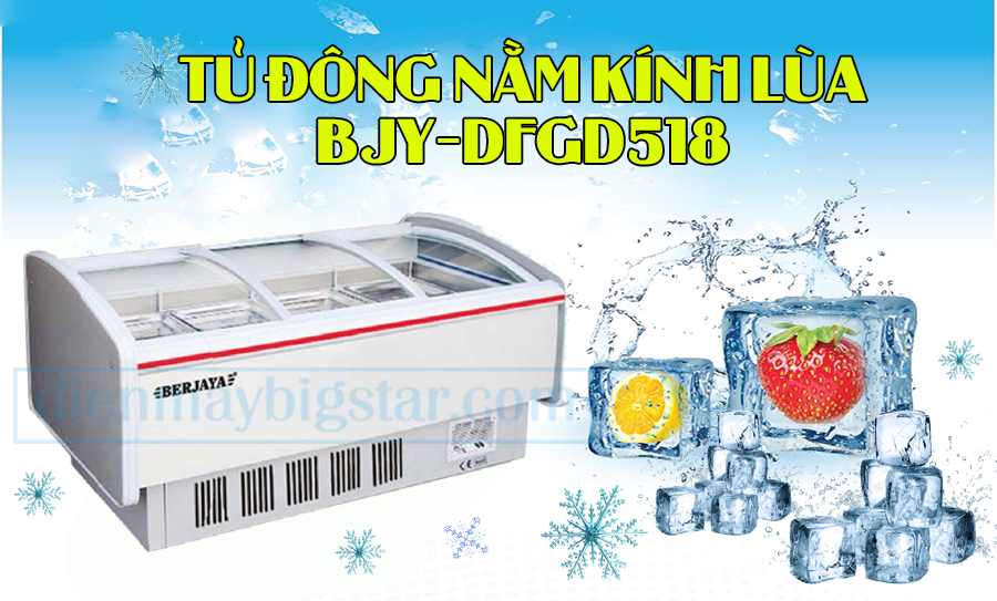 tủ đông nằm kính lùa BJY-DFGD518