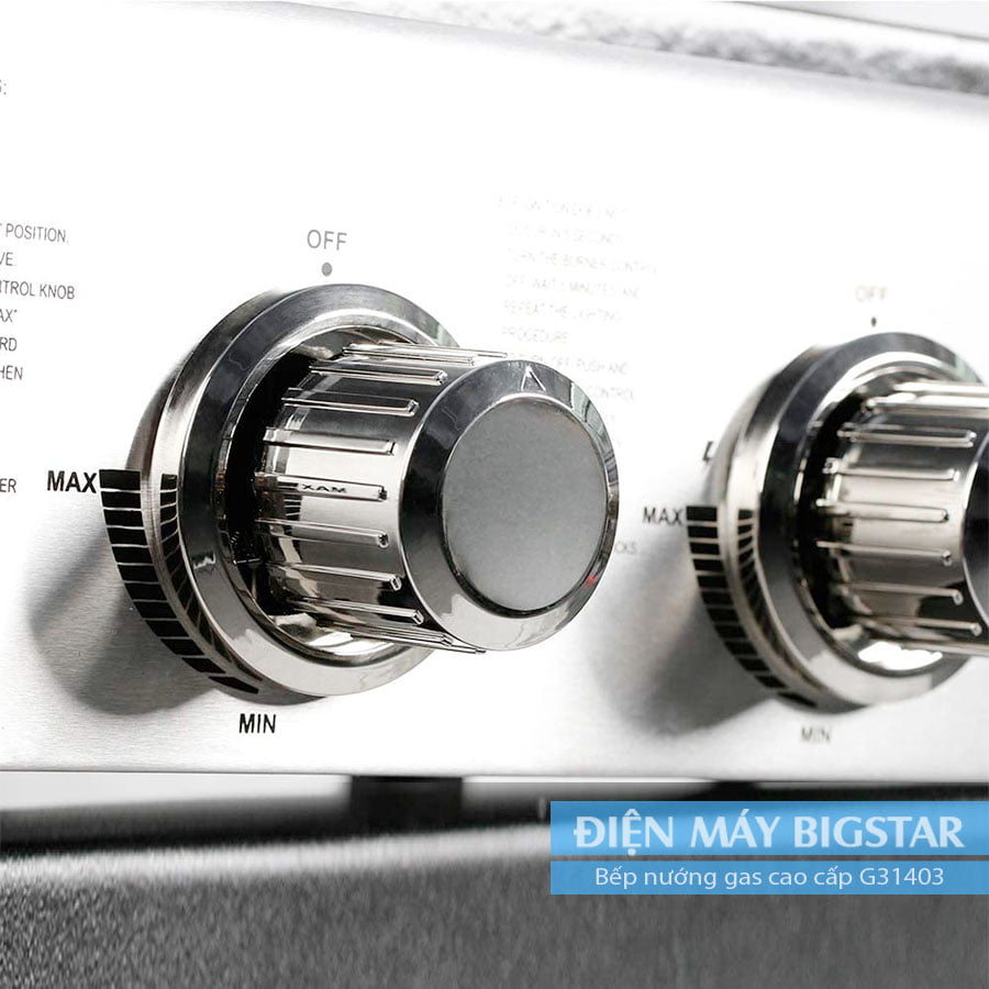 Bếp nướng gas cao cấp G31403