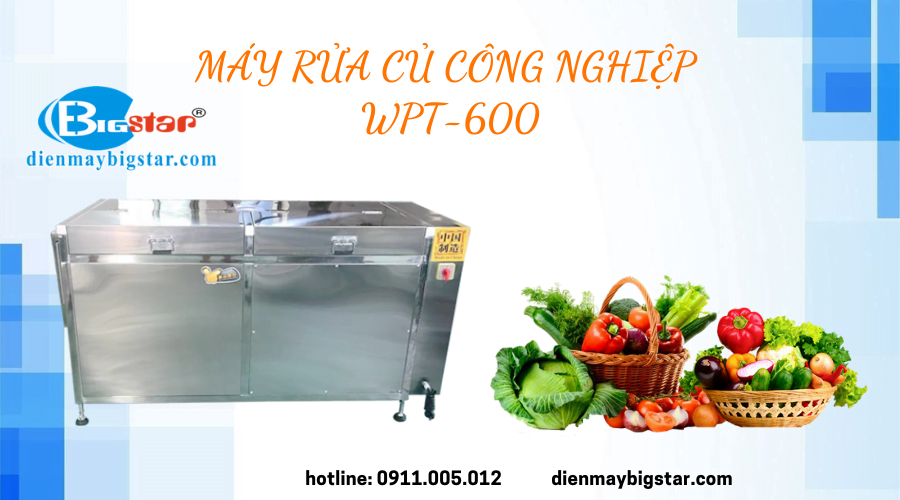 Máy rửa củ công nghiệp WPT-1500