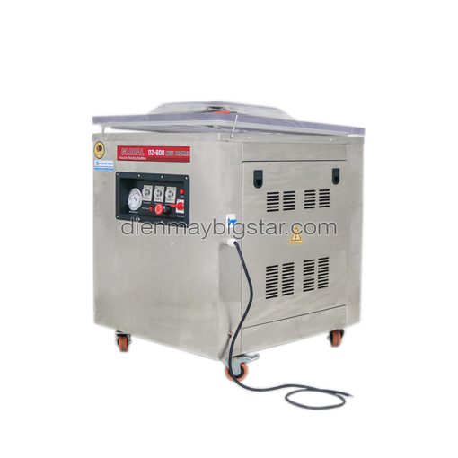 Máy hút chân không một buồng DZQ-600 - Ảnh 2