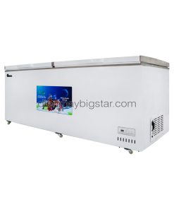 Tủ đông nằm 1100L 2m1 BigCool SS-1100L 14 tu dong nam 1100l 2m1 bigcool SS 1100L ava 2
