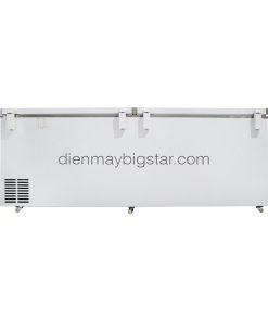 Tủ đông nằm 1100L 2m1 BigCool SS-1100L 16 tu dong nam 1100l 2m1 bigcool SS 1100L ava 4