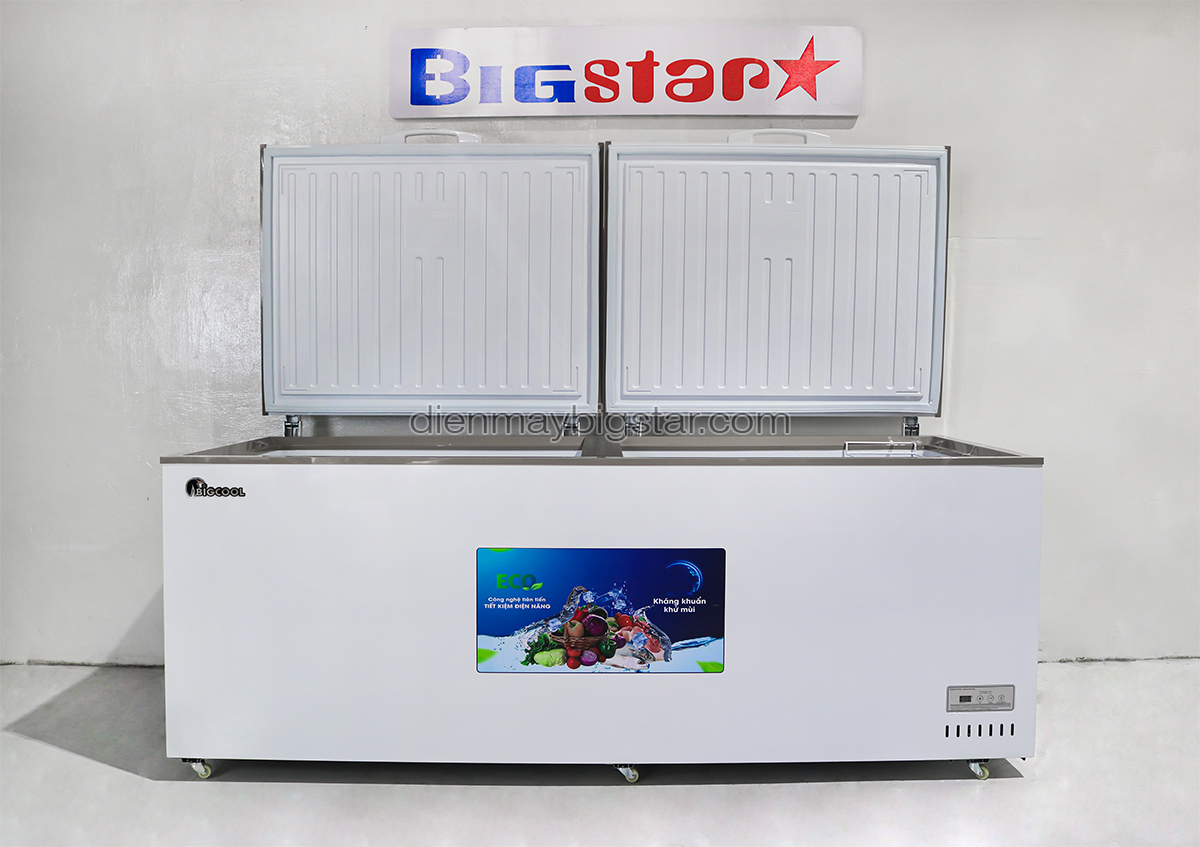 tu dong nam 1100l 2m1 bigcool SS 1100L 1.1