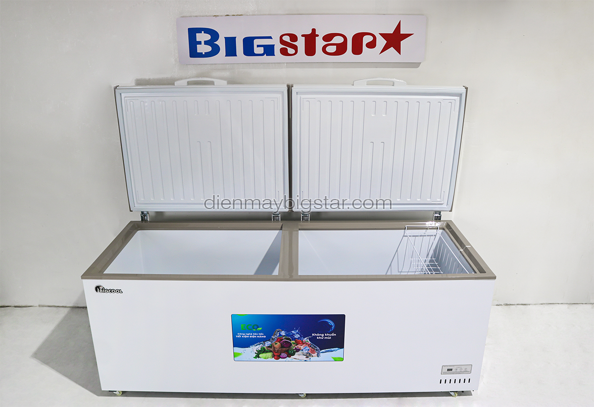 tu dong nam 1100l 2m1 bigcool SS 1100L 1.3