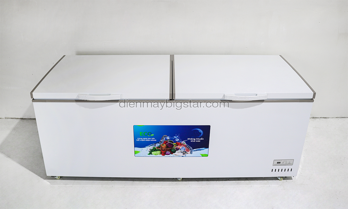 tu dong nam 1100l 2m1 bigcool SS 1100L 2.1