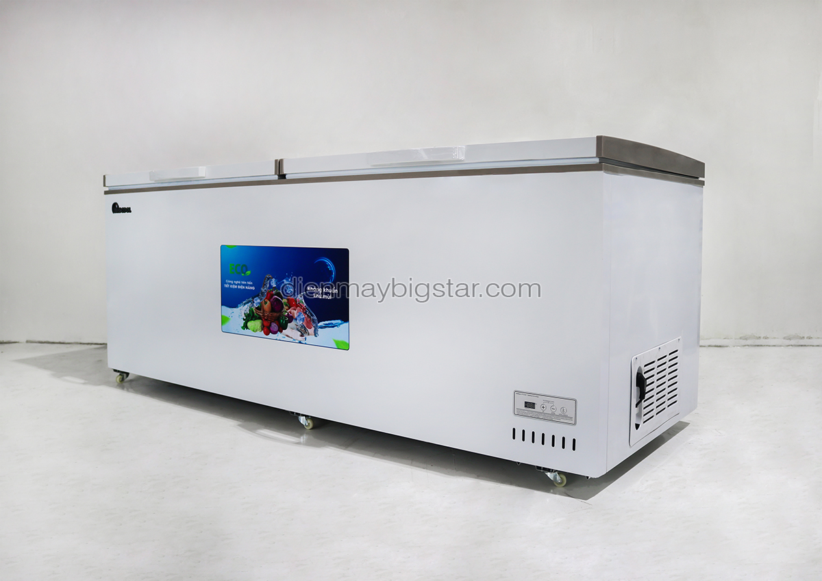 tu dong nam 1100l 2m1 bigcool SS 1100L 1.9