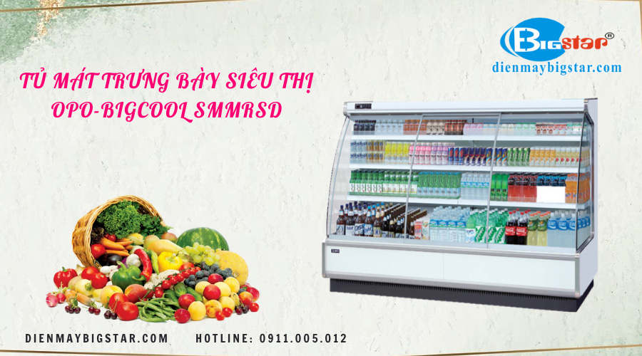 Tủ mát trưng bày siêu thị 1m8 TMSMMRSD 12 tu mat trung bay sieu thi OPO BIGCOOL SMMRSD 2023
