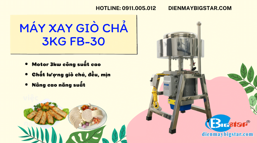 Máy xay giò chả 3kg FB-30