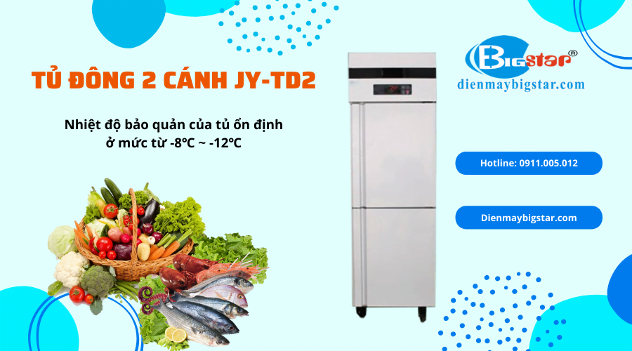 Tủ đông 2 cánh JY-TD2