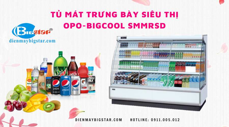Tủ mát trưng bày siêu thị 1m8 TMSMMRSD 8 Tủ mát trưng bày siêu thị OPO-BIGCOOL SMMRSD