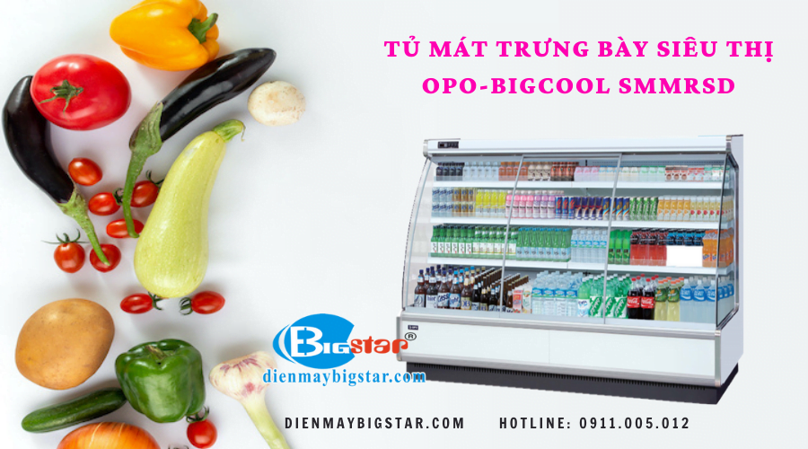 Tủ mát trưng bày siêu thị 1m8 TMSMMRSD 13 Tủ mát trưng bày siêu thị OPO-BIGCOOL SMMRSD