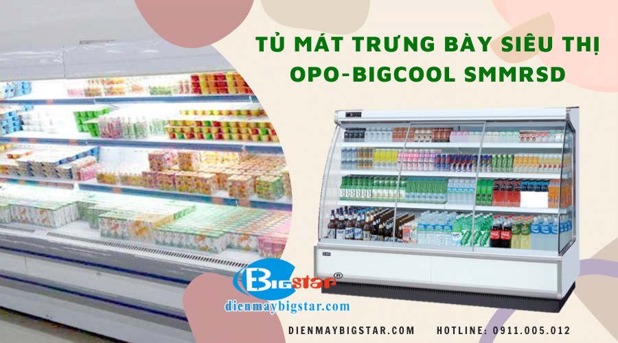 Tủ mát trưng bày siêu thị 1m8 TMSMMRSD 10 Tủ mát trưng bày siêu thị OPO-BIGCOOL SMMRSD
