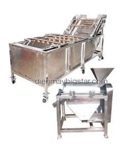 Dây chuyền máy rửa ép chà trái cây công nghiệp