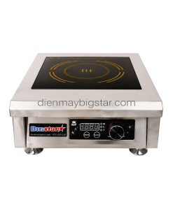 Bếp điện từ phẳng WC-500A1