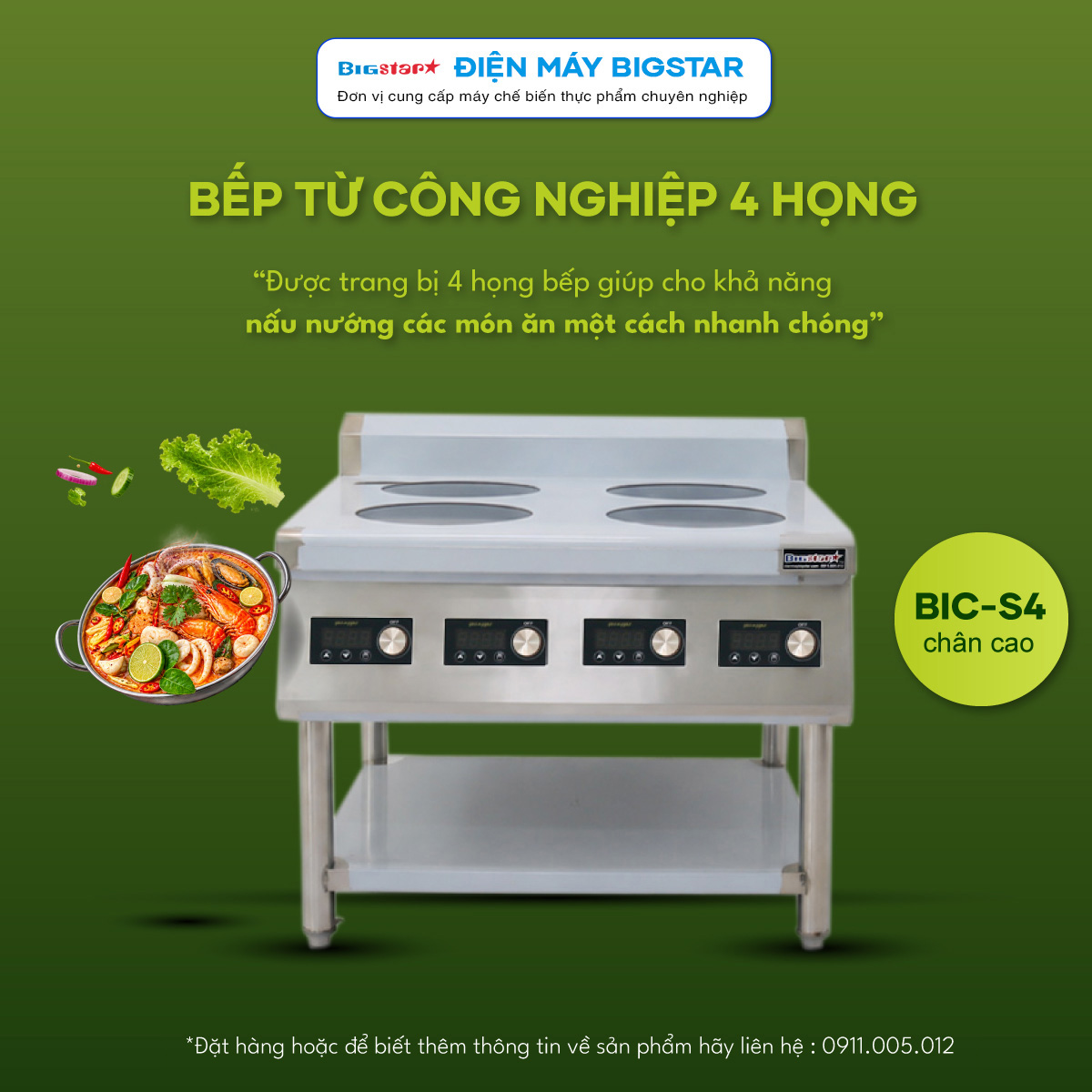 bep dien tu phang 4 hong bic tr 7