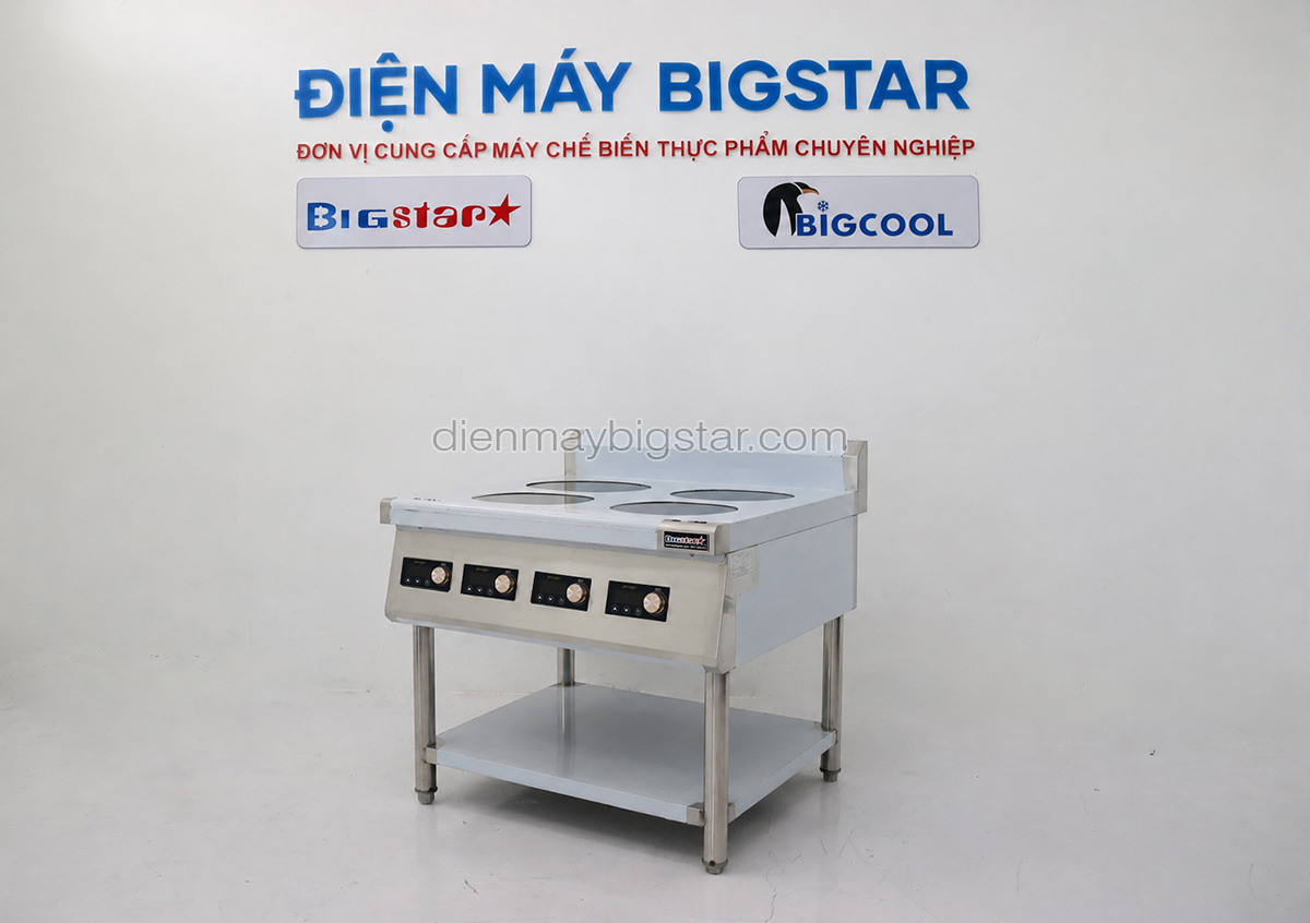 bep dien tu phang 4 hong bic tr 4