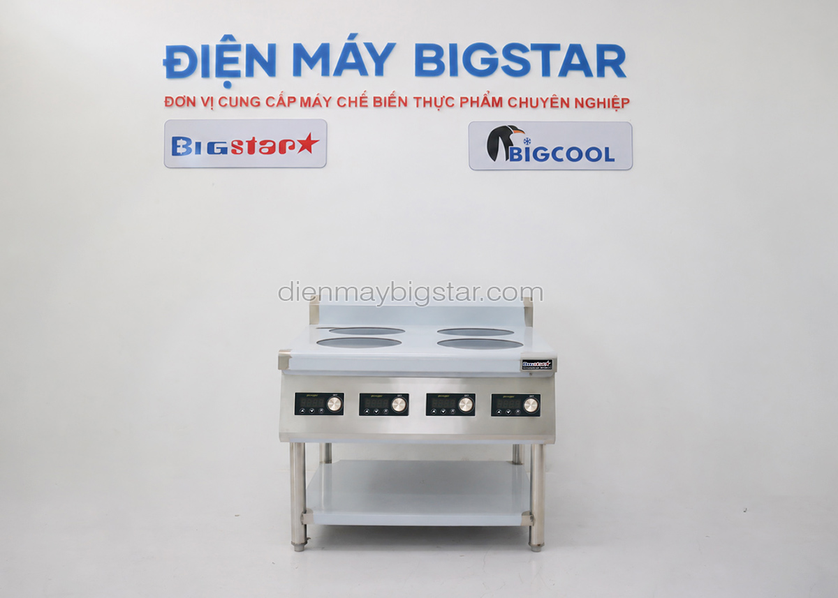 bep dien tu phang 4 hong bic tr 5