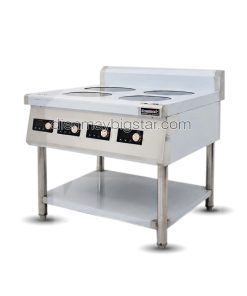 bep dien tu phang 4 hong bic tr 1