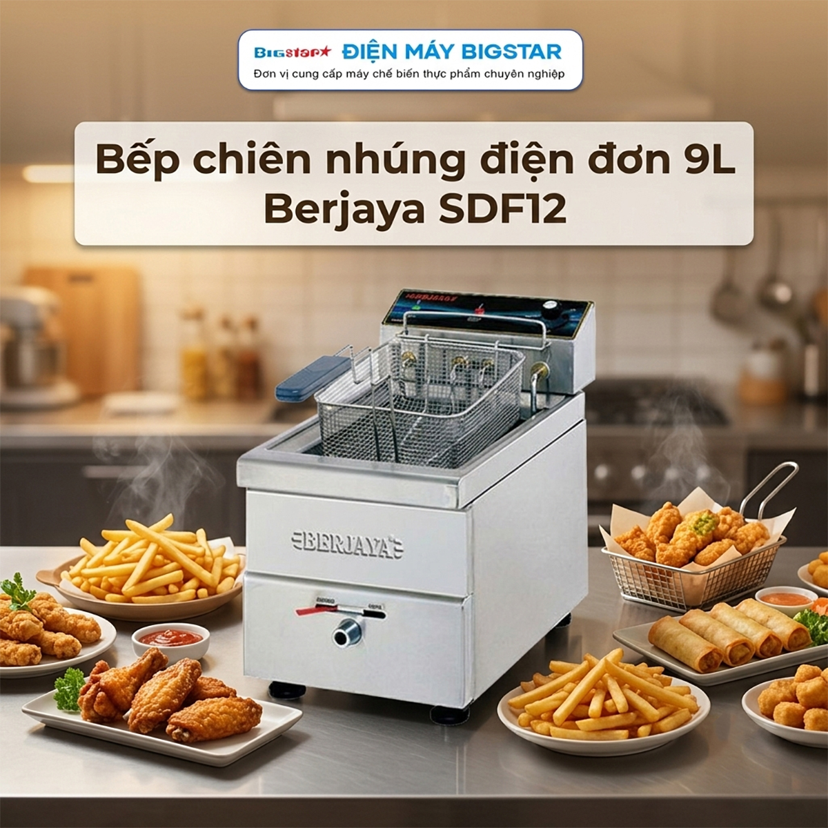 Bếp chiên nhúng điện đơn 9L Berjaya SDF12 8 bep chien nhung dien don 9l berjaya sdf12 2