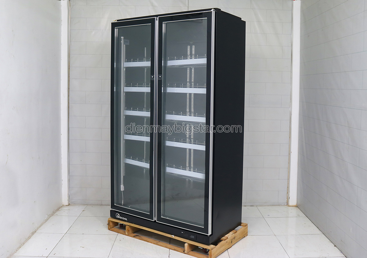 tu mat 2 canh quat lanh say kinh luxury lry 1200 tr re 4