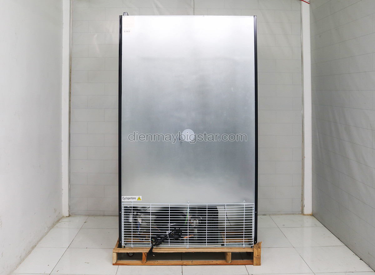 tu mat 2 canh quat lanh say kinh luxury lry 1200 tr re 5