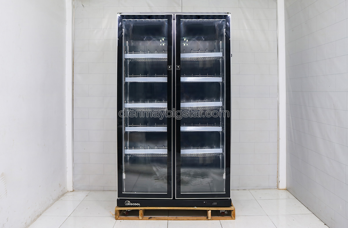 tu mat 2 canh quat lanh say kinh luxury lry 1200 tr re 3d