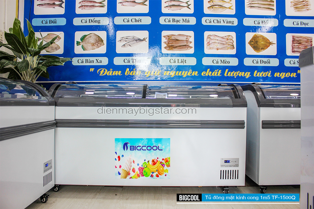 don hang tu dong mat kinh cong 1m5 TF 1500Q 1
