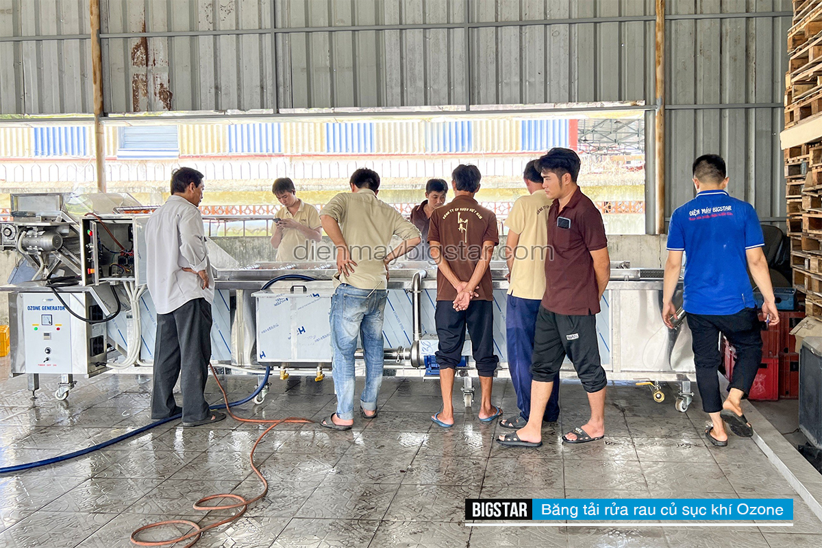 don hang bang tai rua rau cu suc khi Ozone 10