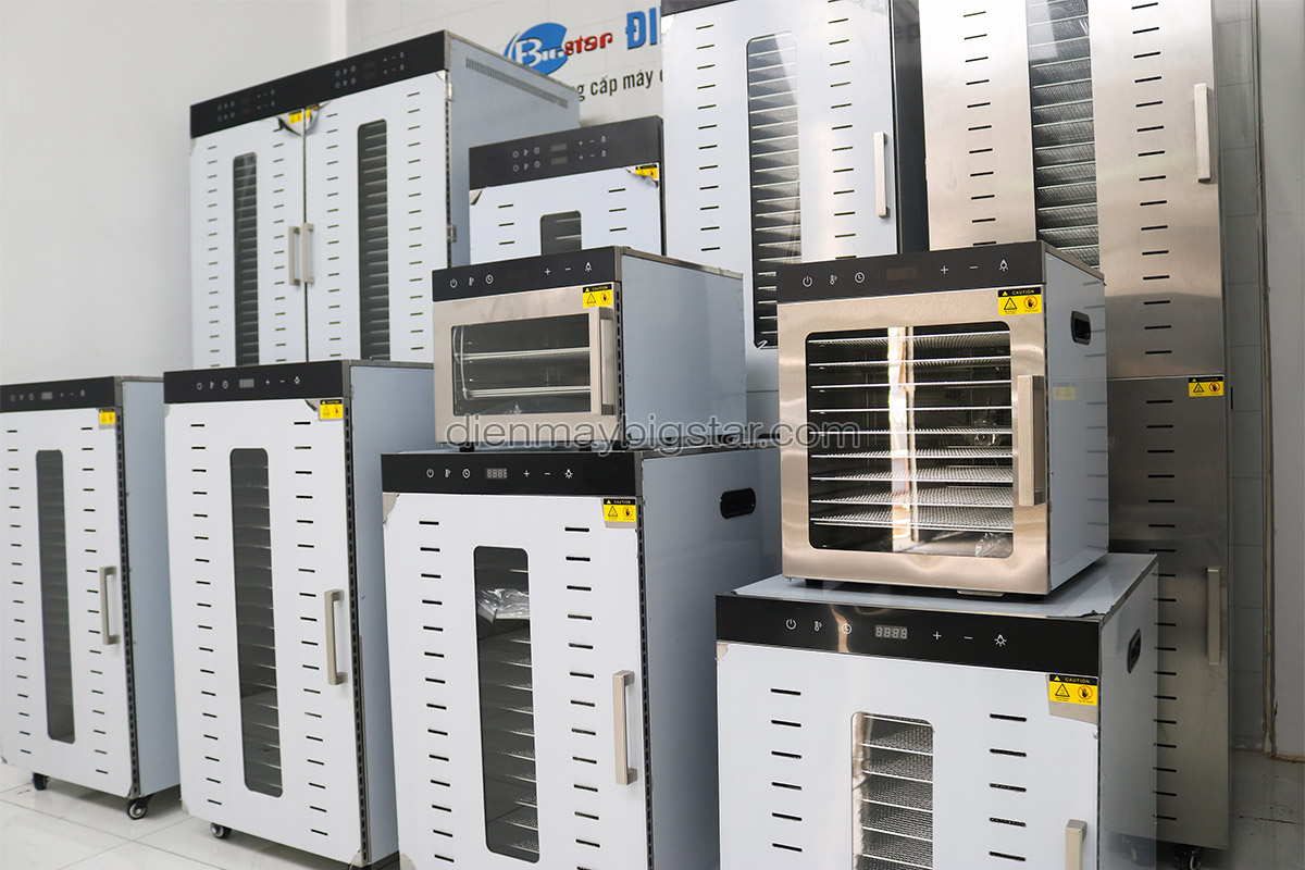Tủ sấy hoa quả 2 lớp 6 khay SS-06H