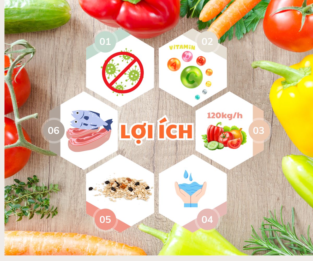 Máy sục khí Ozone rửa rau củ quả sạch