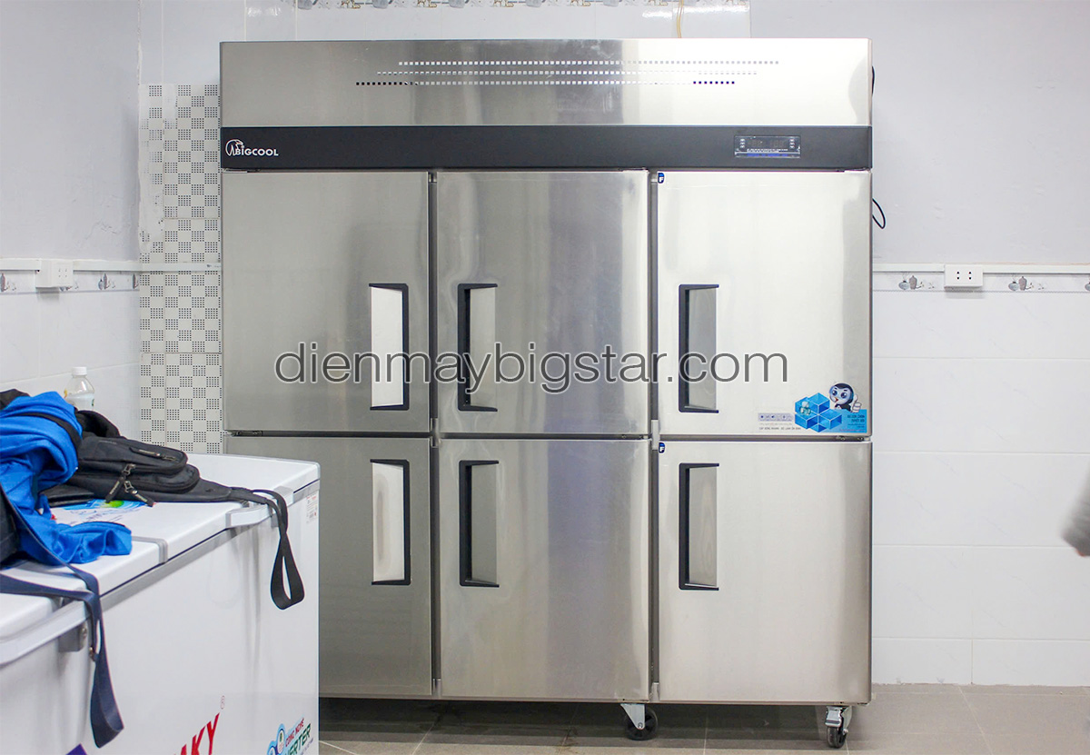 don hang tu dong 6 canh 1m8 bigcool td 1800cf giao tai binh chanh