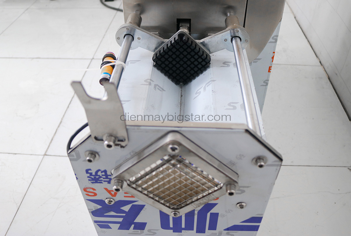 Máy thái rau củ quả TH90 17 may thai rau cu qua TH90 1.3