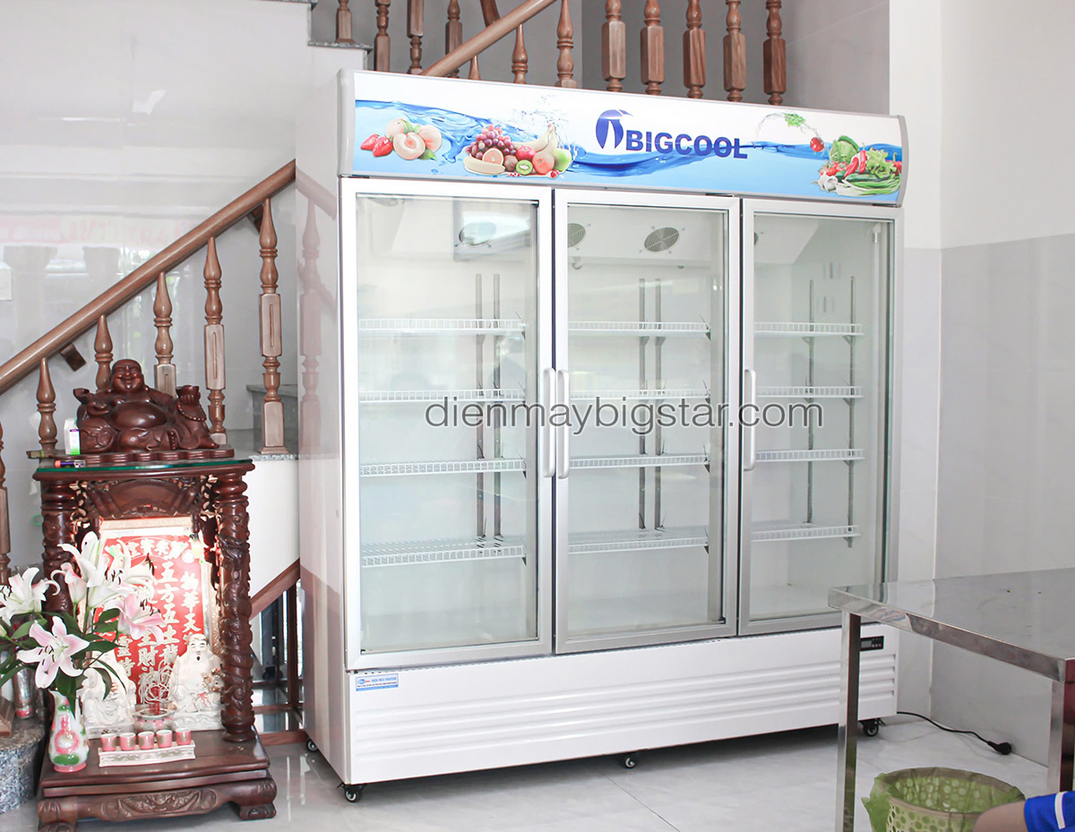 tu mat 3 canh quat lanh say kinh pl 1800f giao tai tinh dong nai