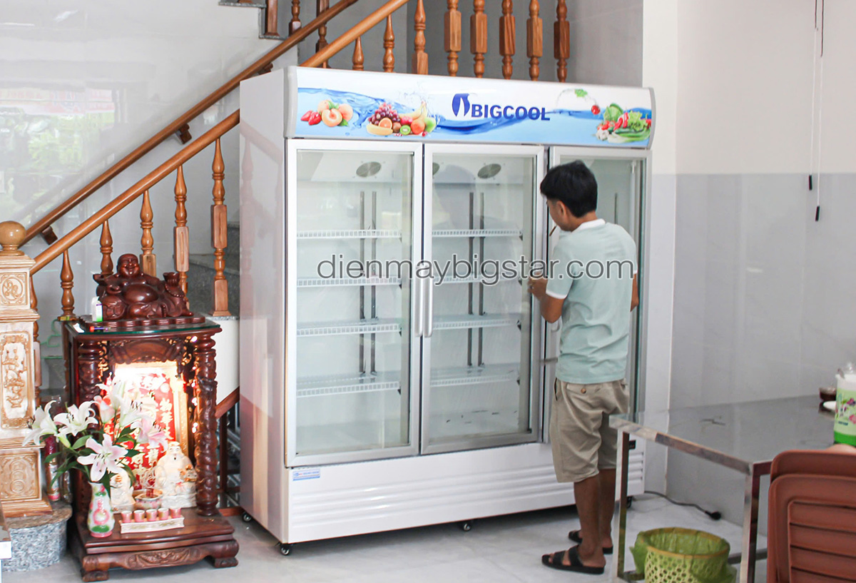 tu mat 3 canh quat lanh say kinh pl 1800f giao tai tinh dong nai 2