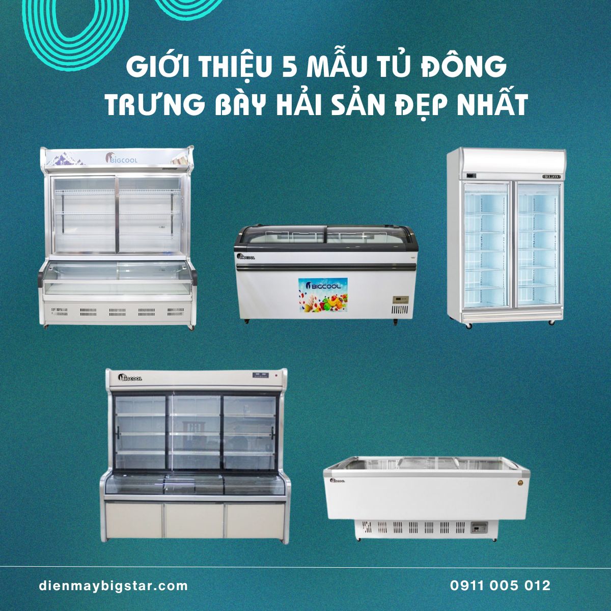 5 mau tu dong trung bay hai san