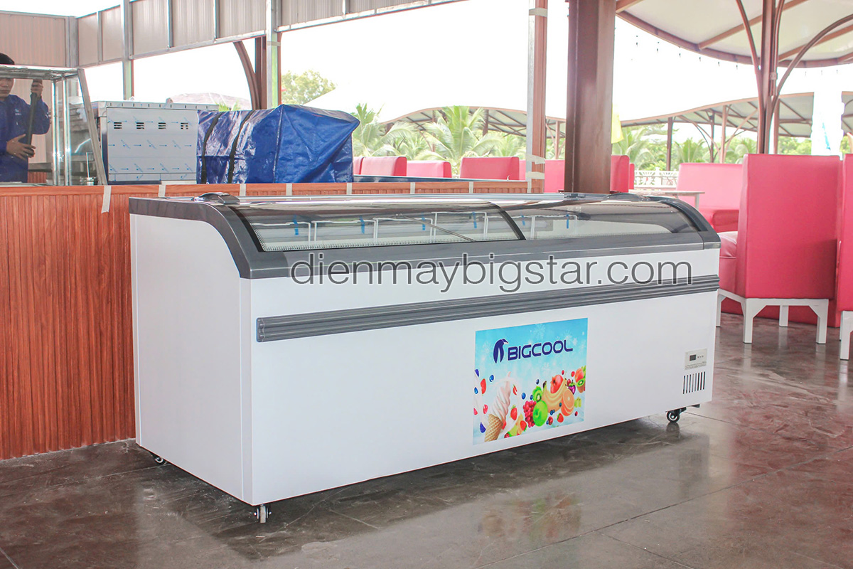 don hang tu dong mat kinh cong 2m tf 2000q va lo nuong 1 tang 2 khay dien bigstar giao tai dong nai 2