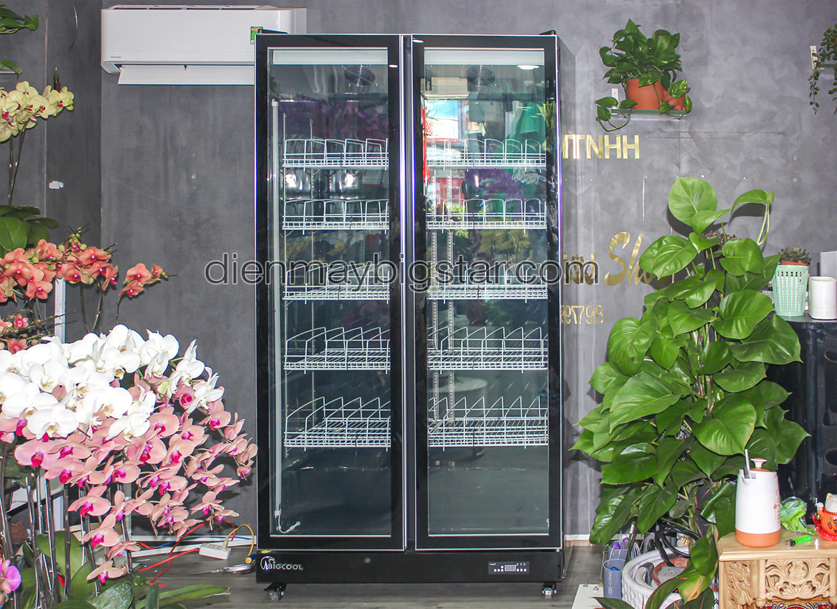 don hang tu mat 2 canh quat lanh say kinh luxury lry 1200 giao tai can tho