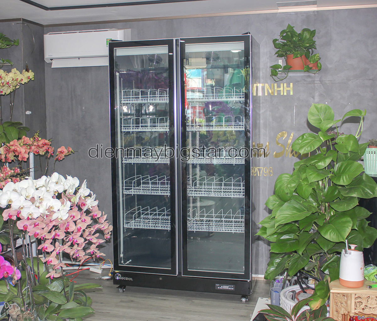 don hang tu mat 2 canh quat lanh say kinh luxury lry 1200 giao tai can tho 1