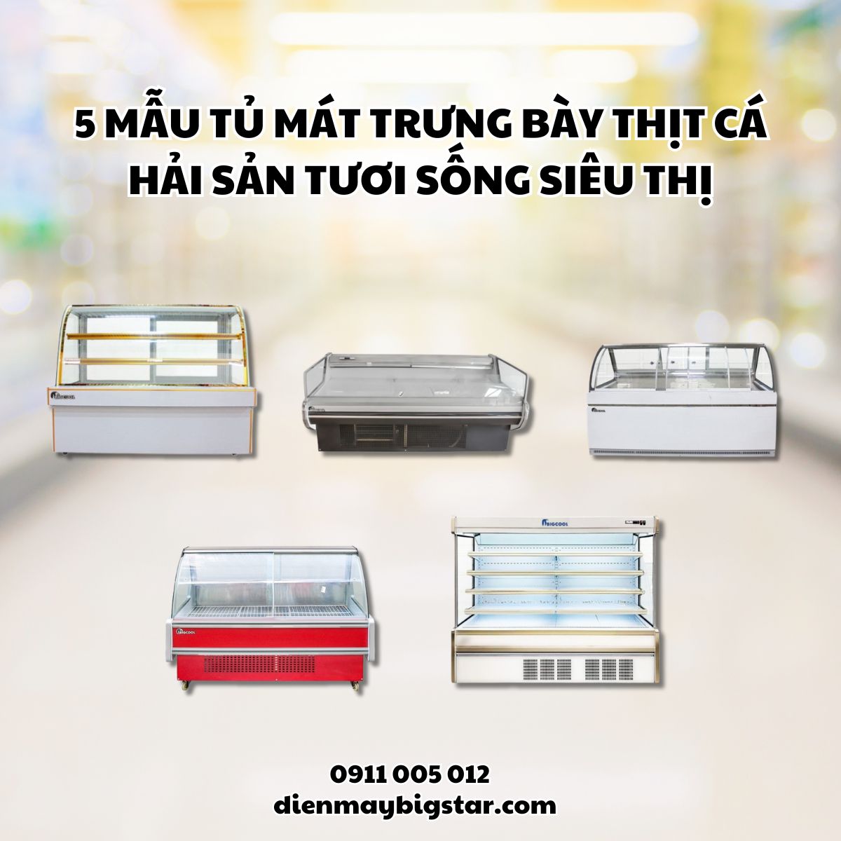 Tủ mát trưng bày thịt cá hải sản tươi sống siêu thị